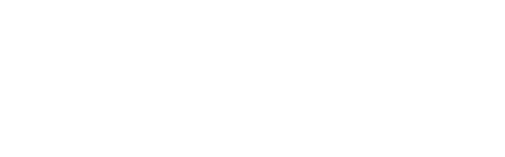 logo Naviglio Grande